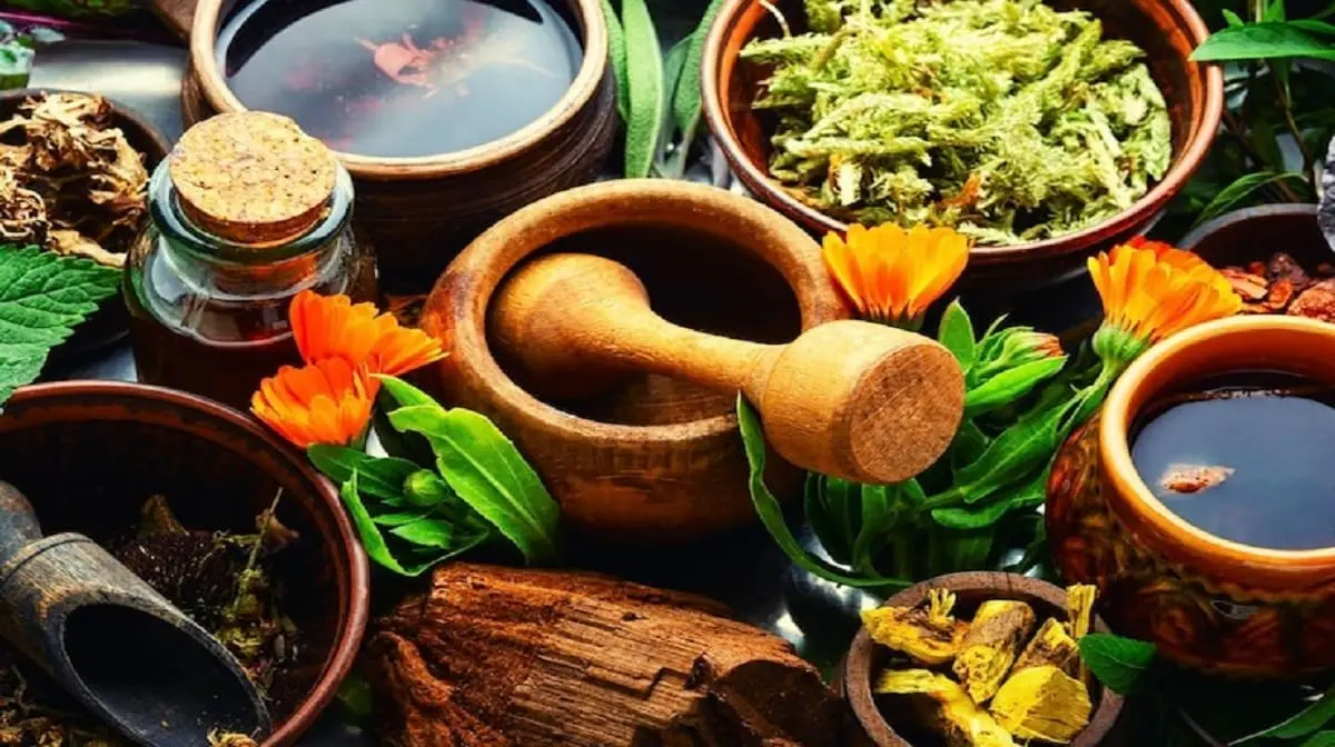 Top Ayurvedic Pain Management Treatment