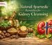 Ayurvedic treatment for kidney cleansing using natural herbs and detox remedies