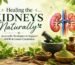 Healing the Kidneys Naturally Ayurvedic Strategies to Support eGFR and Lower Creatinine